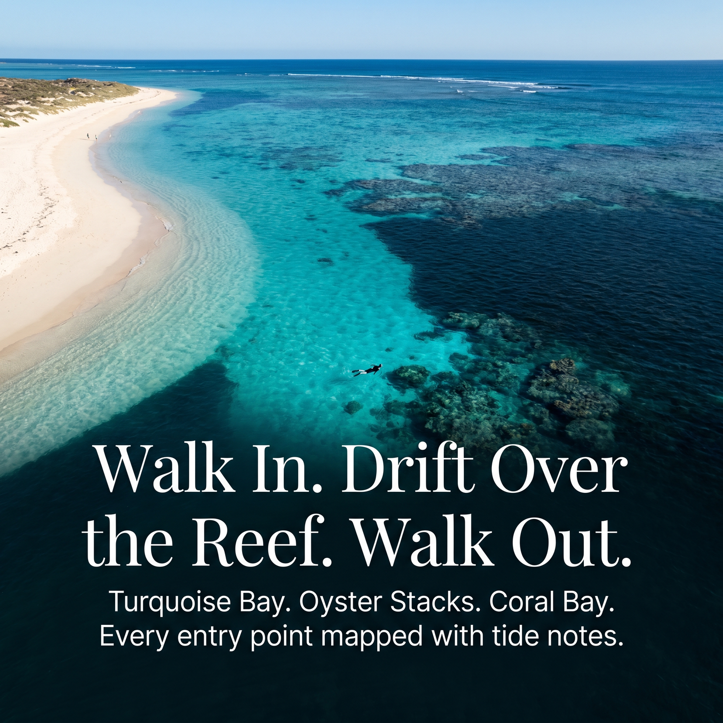 Coral Coast & Ningaloo: The Marine Frontier