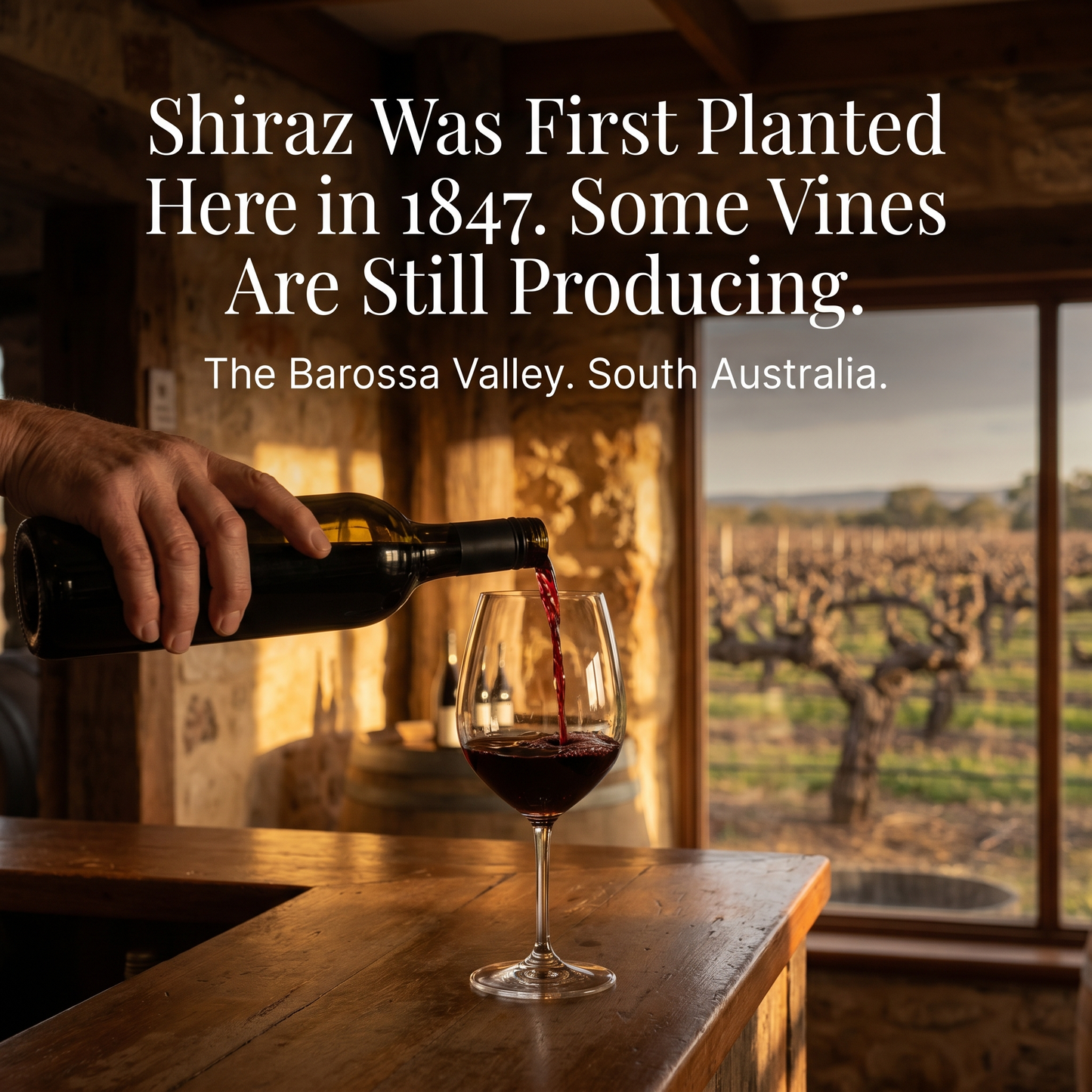 South Australia: Wine, Wilderness & the Outback