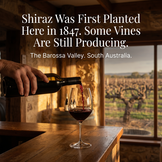 South Australia: Wine, Wilderness & the Outback