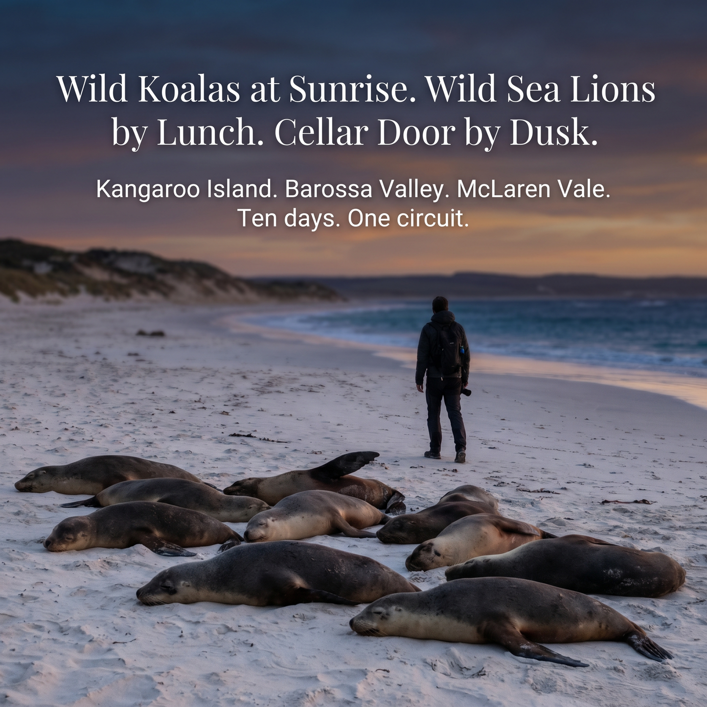 South Australia: Wine, Wilderness & the Outback